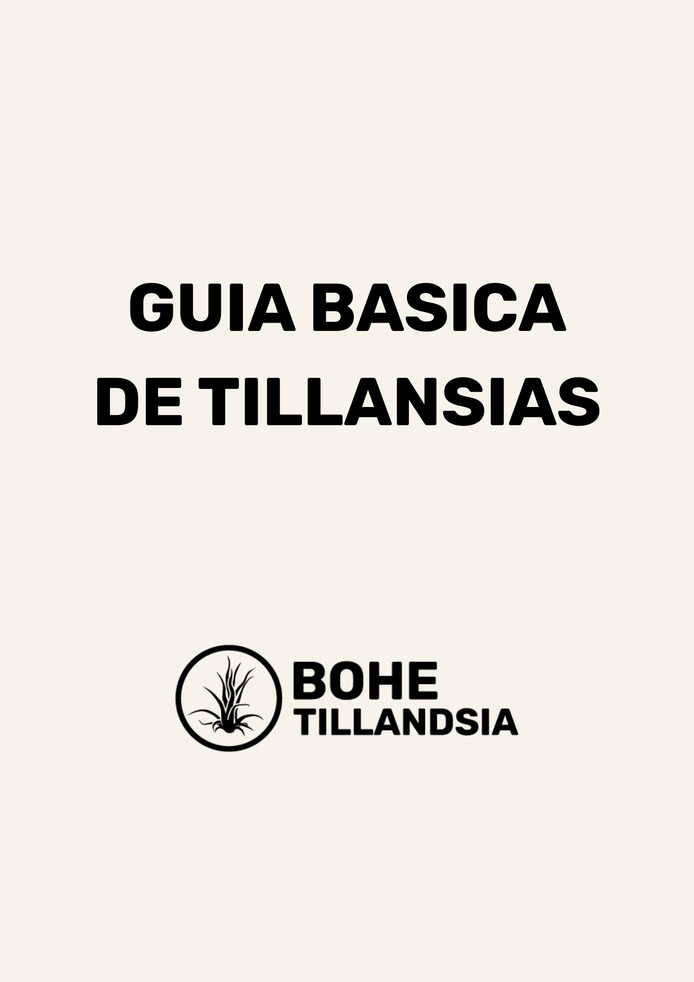 Guía Básica de Cuidados para Tillandsias – Descargable en PDF