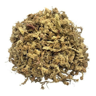 Musgo Sphagnum 100 gr