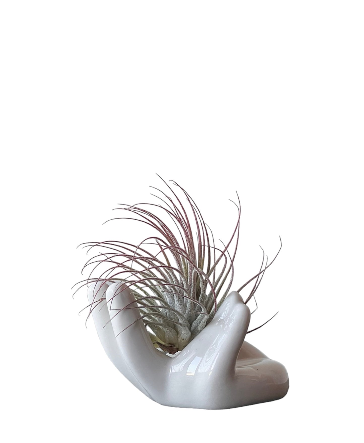 Soporte Mano