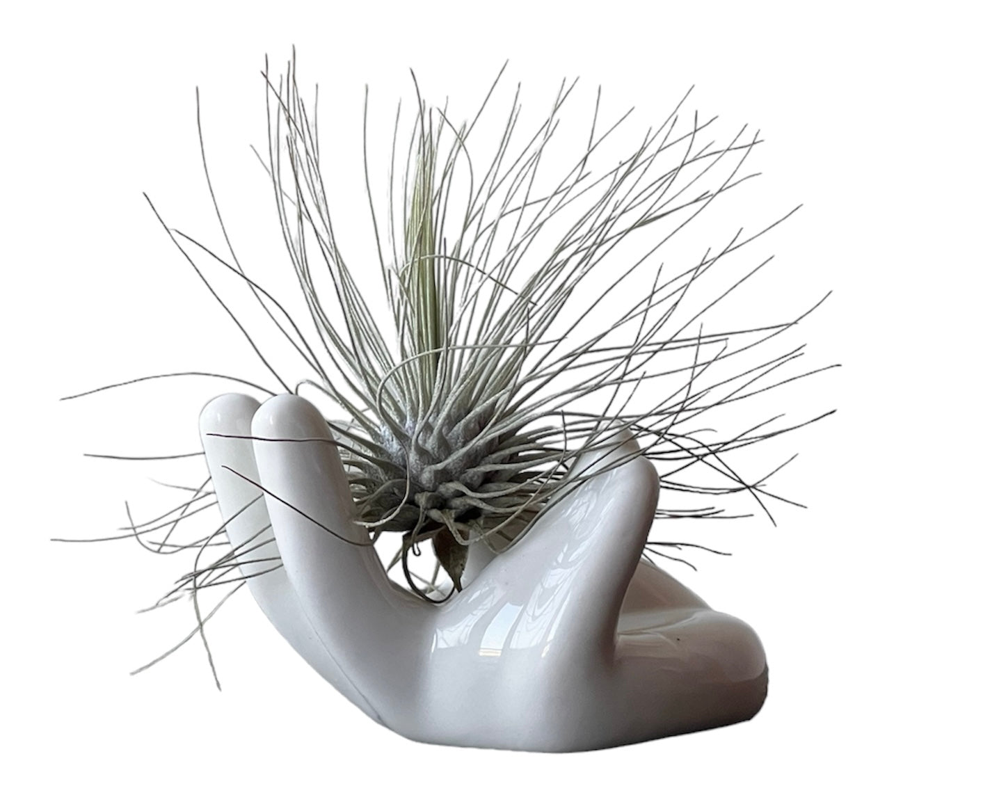 Soporte Mano