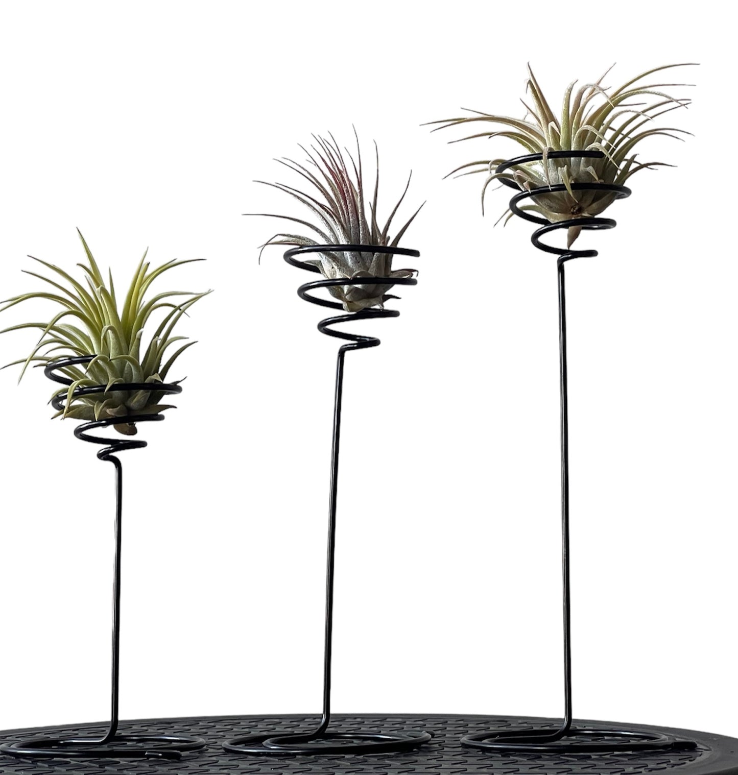 Set 3 alturas A-40-L