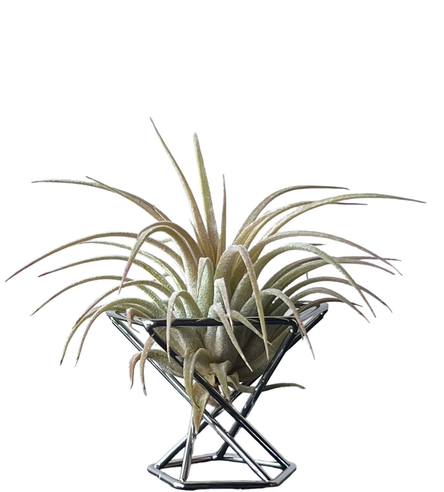 Soporte A-30-L